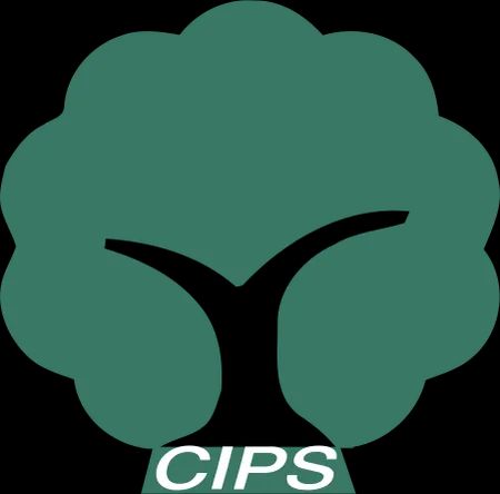 青年工作委员会